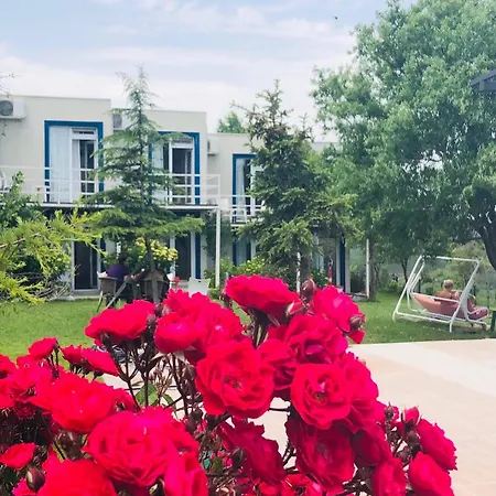 - Ξενοδοχείο *